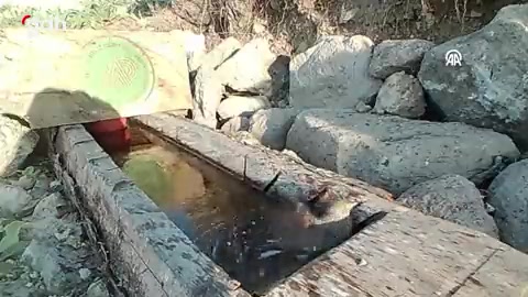 Yalaklar yaban hayvanlarına can suyu sağlıyor