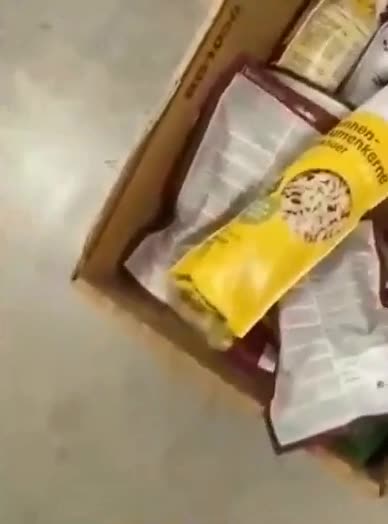 Fransa'da Amazon deposunu fareler istila etti