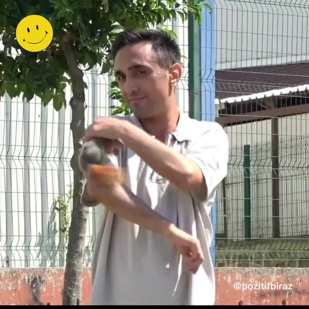 Yaralı sincap, Ordu'da vatandaşın en yakın arkadaşı oldu