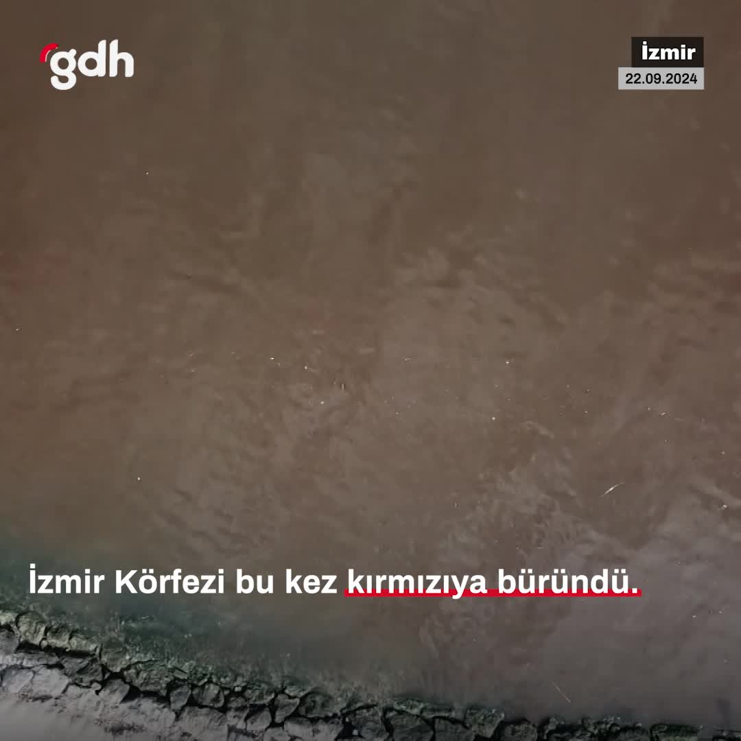İzmir Körfezi, mikroalg çoğalmasıyla kızıla büründü
