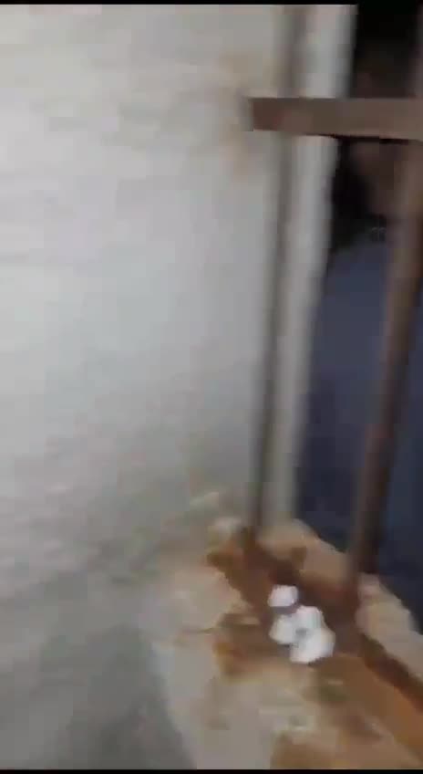 Hama'da serbest bırakılan siyasi tutukularda çocuklar var