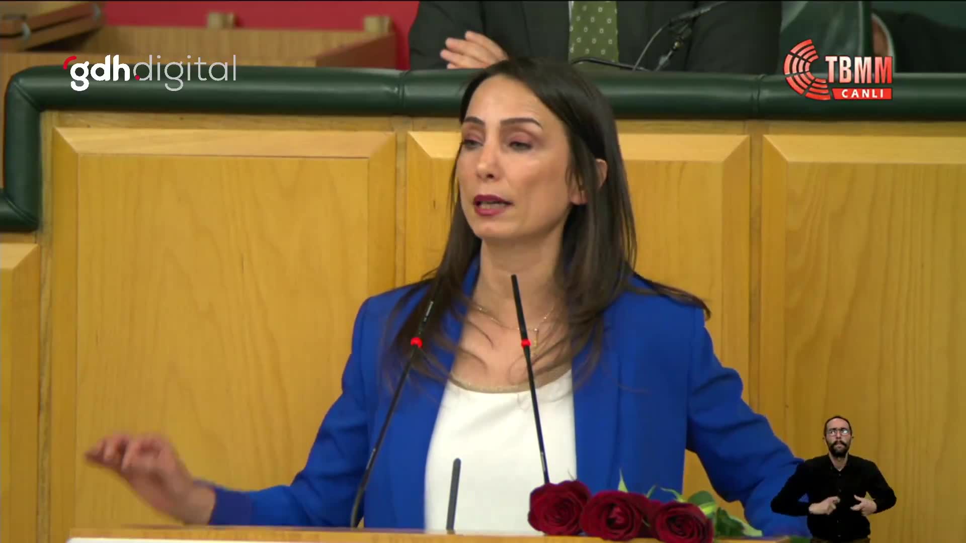 Tülay Hatimoğulları: Bayrak ve sembollerle sorunumuz yok