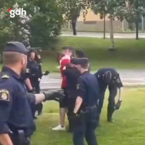 İsveç polisi, Stockholm'de Gazze göstericilerine köpek saldı