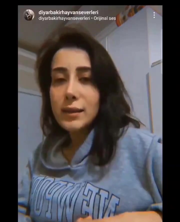 Hastanede Hayvanlar İçin Mama Kampanyası ve Şikayet Engeli