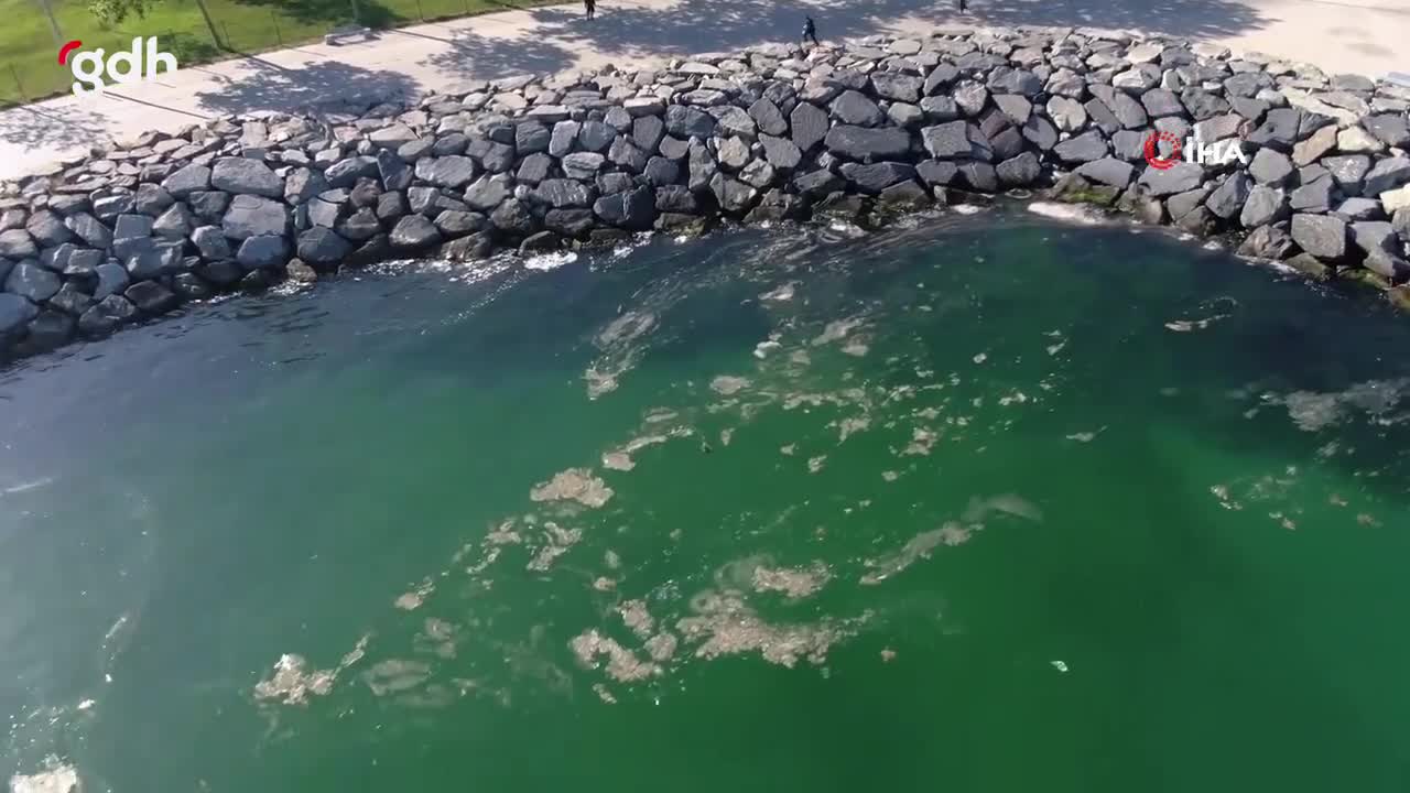 İstanbul Boğazı köpüklü, Avcılar'da müsilaj görünmeye başladı