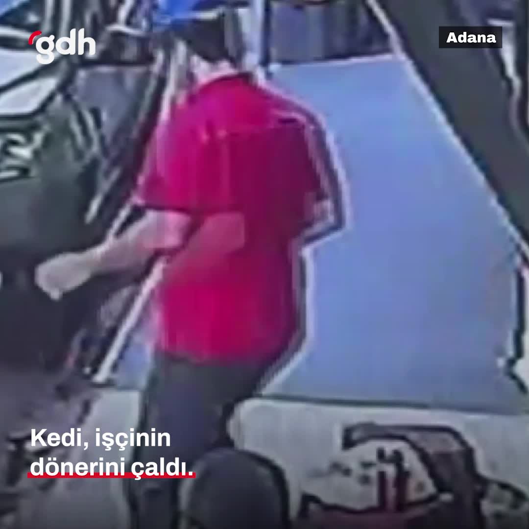 Adana'da kedi, işçinin dönerini çalıp kaçtı