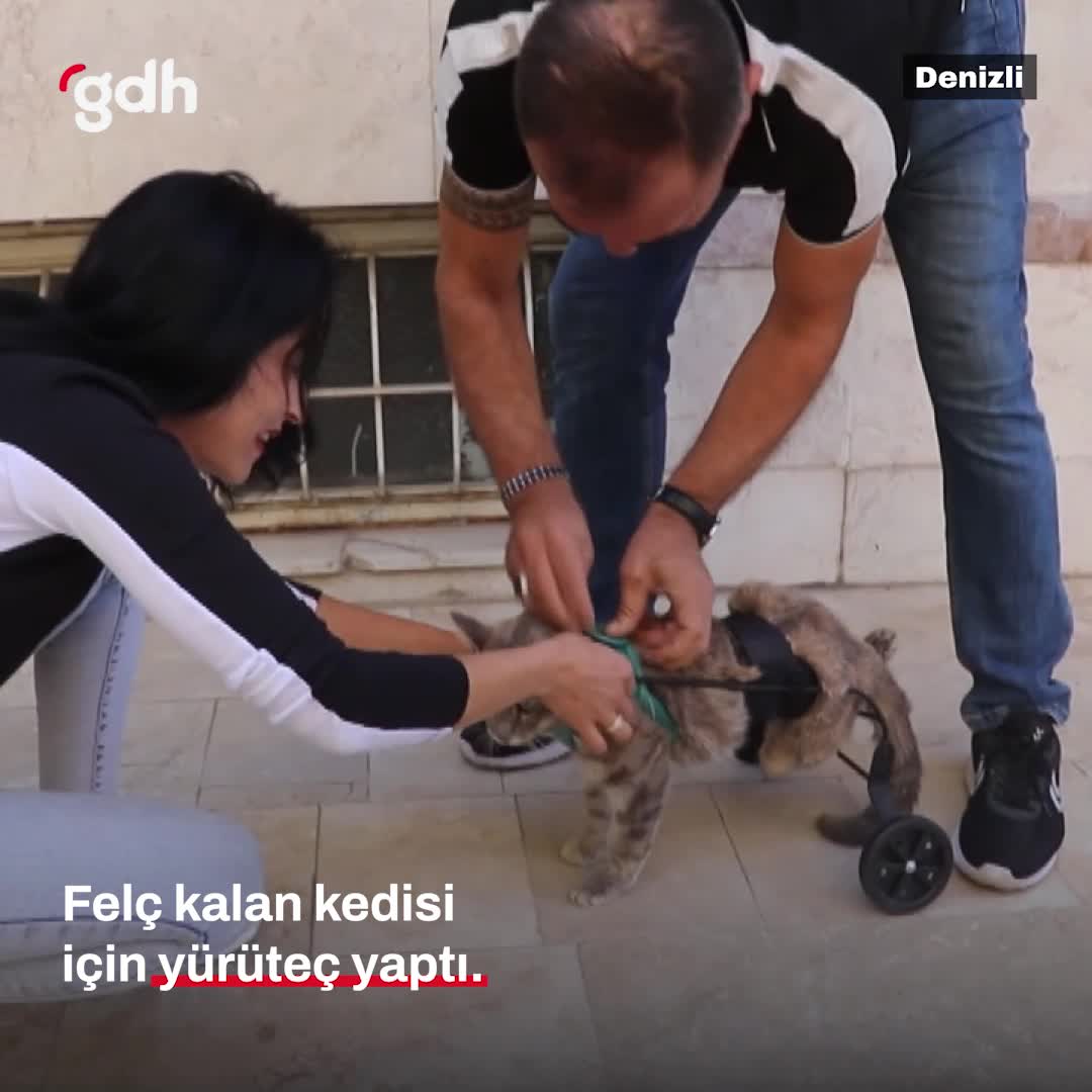 Felçli kedisine yürüteç yapan Denizli vatandaşı