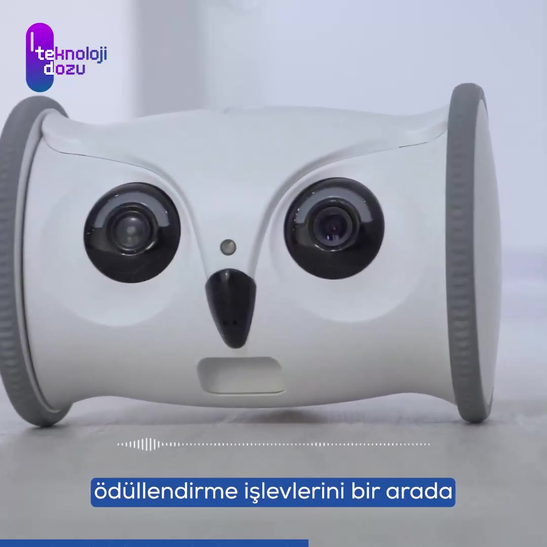 Skymee Owl Robot: İnteraktif Evcil Hayvan Oyuncağı