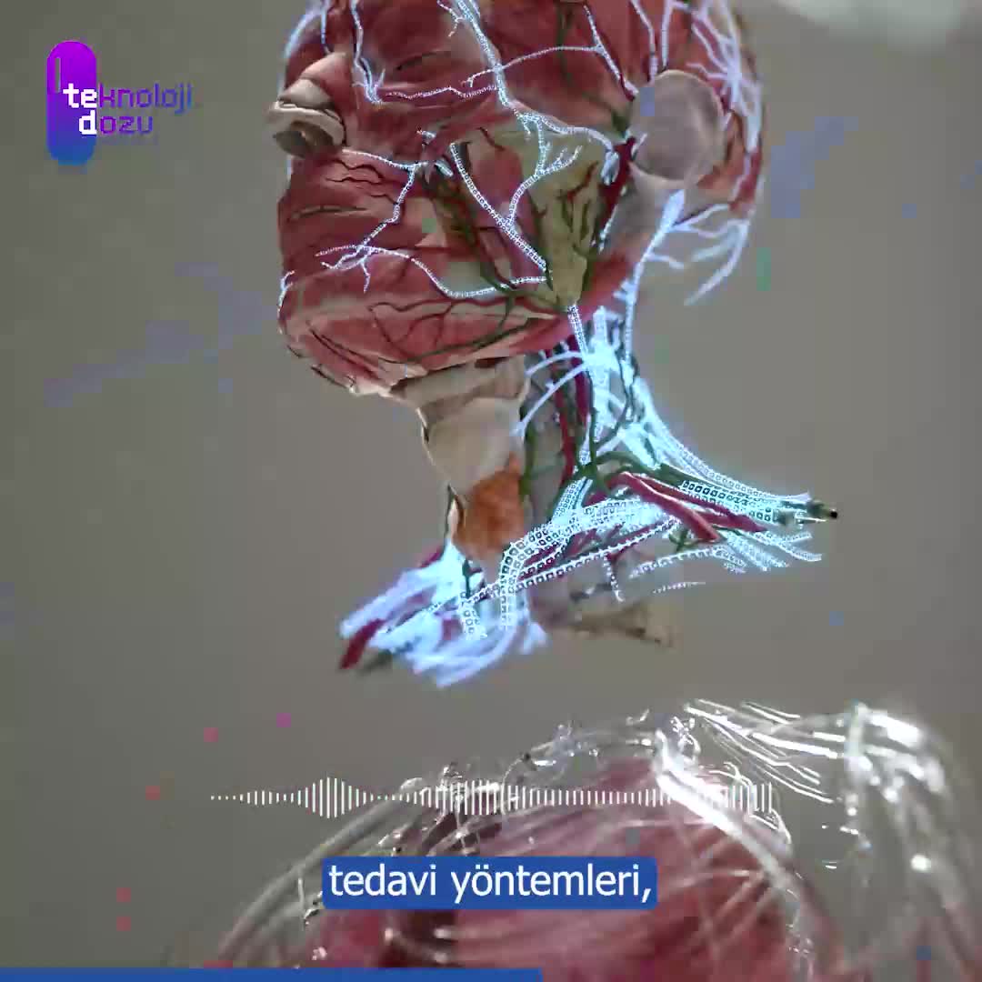 Dünyanın İlk Kafa Nakli Sistemi: BrainBridge