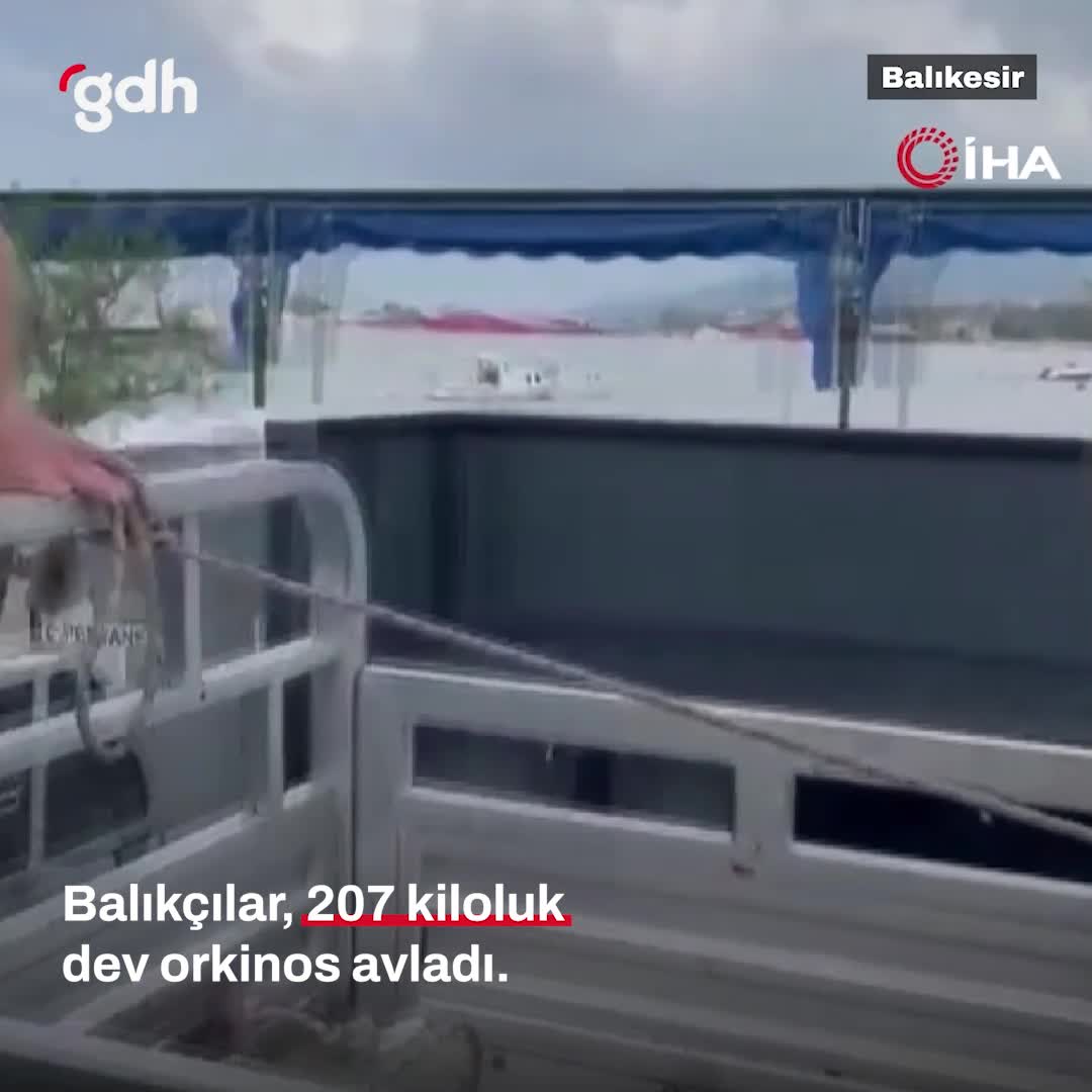 Erdek'te balıkçılar, 207 kiloluk dev orkinos avladı