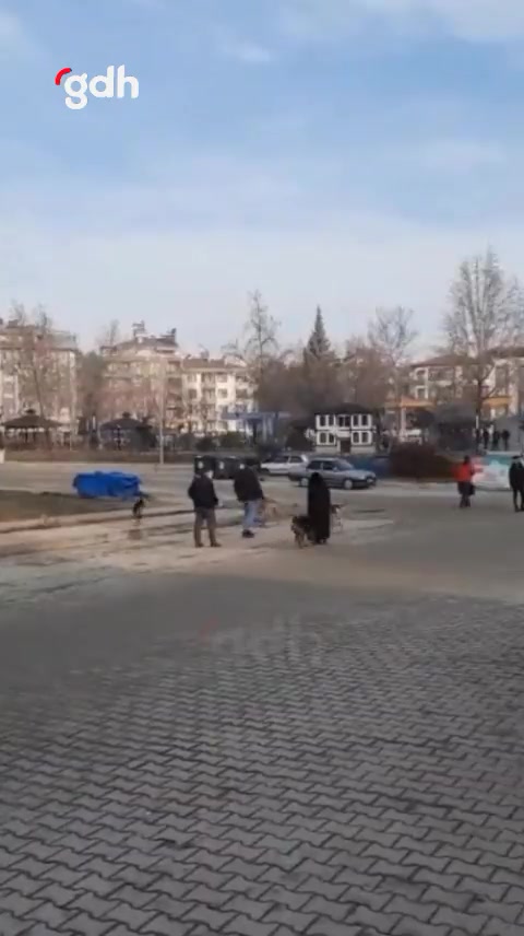 Boyabat'ta başıboş köpekler öğrenciye saldırdı, kurtarıldı