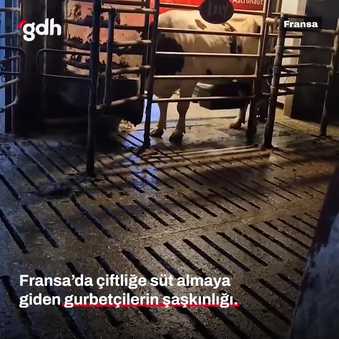 Fransa'da gurbetçilerin süt alırkenki şaşkınlığı görüntülendi