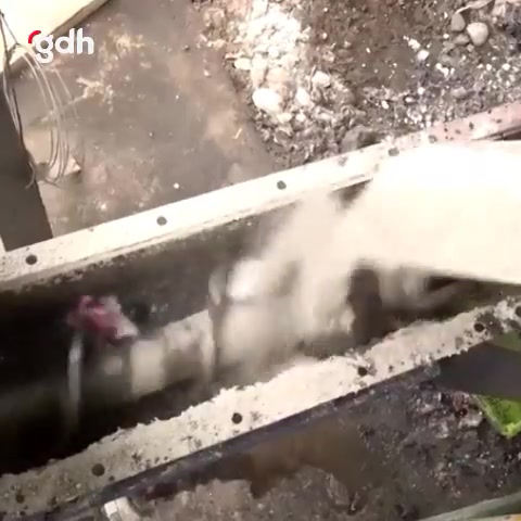 Ekvador, ele geçirilen uyuşturucuları bina harcı yapıyor