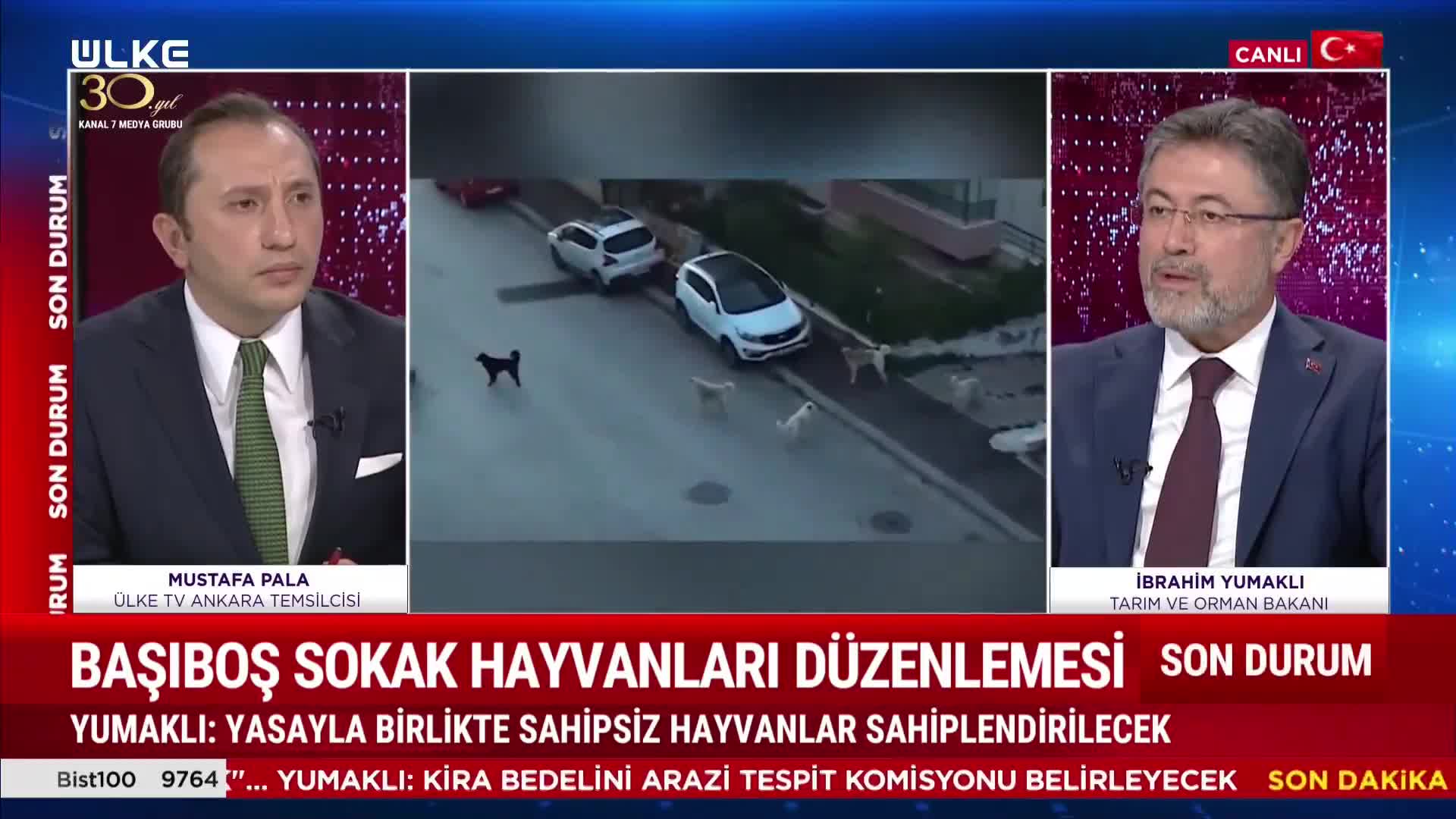 Başıboş köpek yasasına uymayan belediyelere ne olacak?