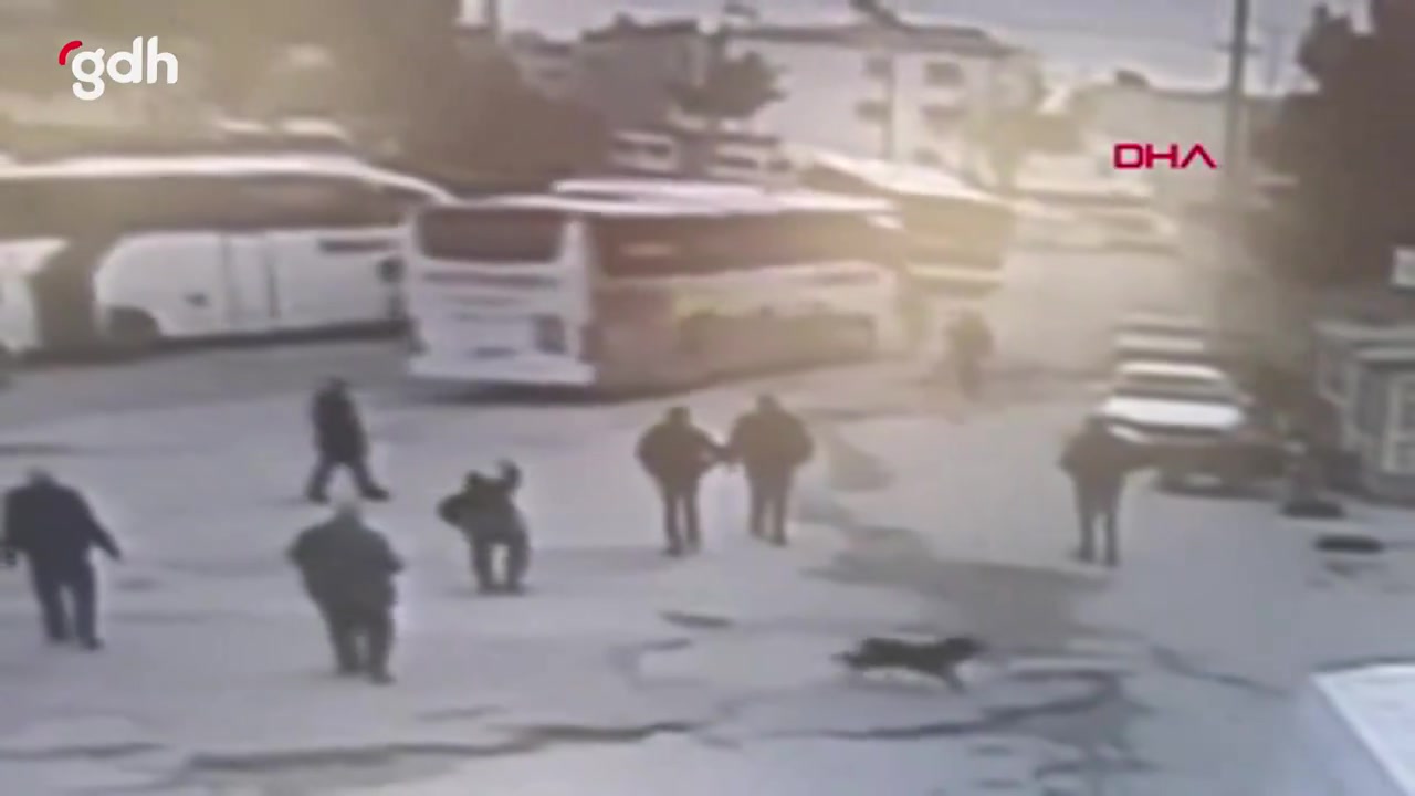 Bursa-Diyarbakır otobüsü muavini ezdi, şoför yakalandı