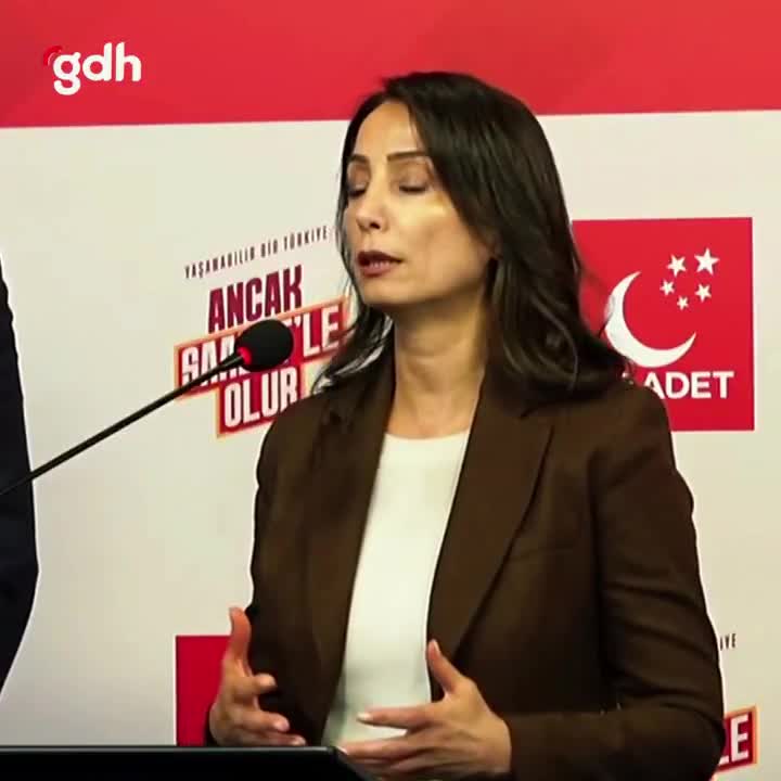 DEM Parti'den Öcalan ile görüşme talebi: Beklenen açıklama ne?