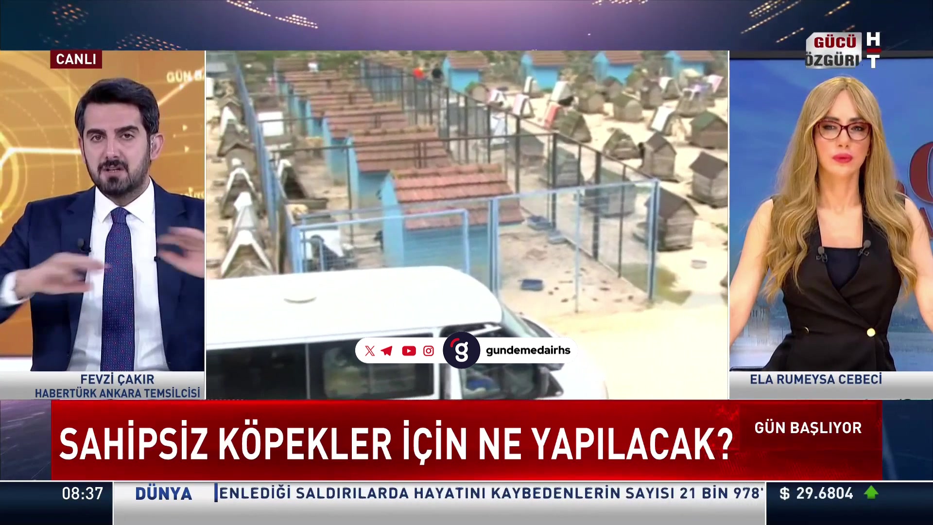 Ankara'nın sokakları başıboş köpeklere terk edildi!