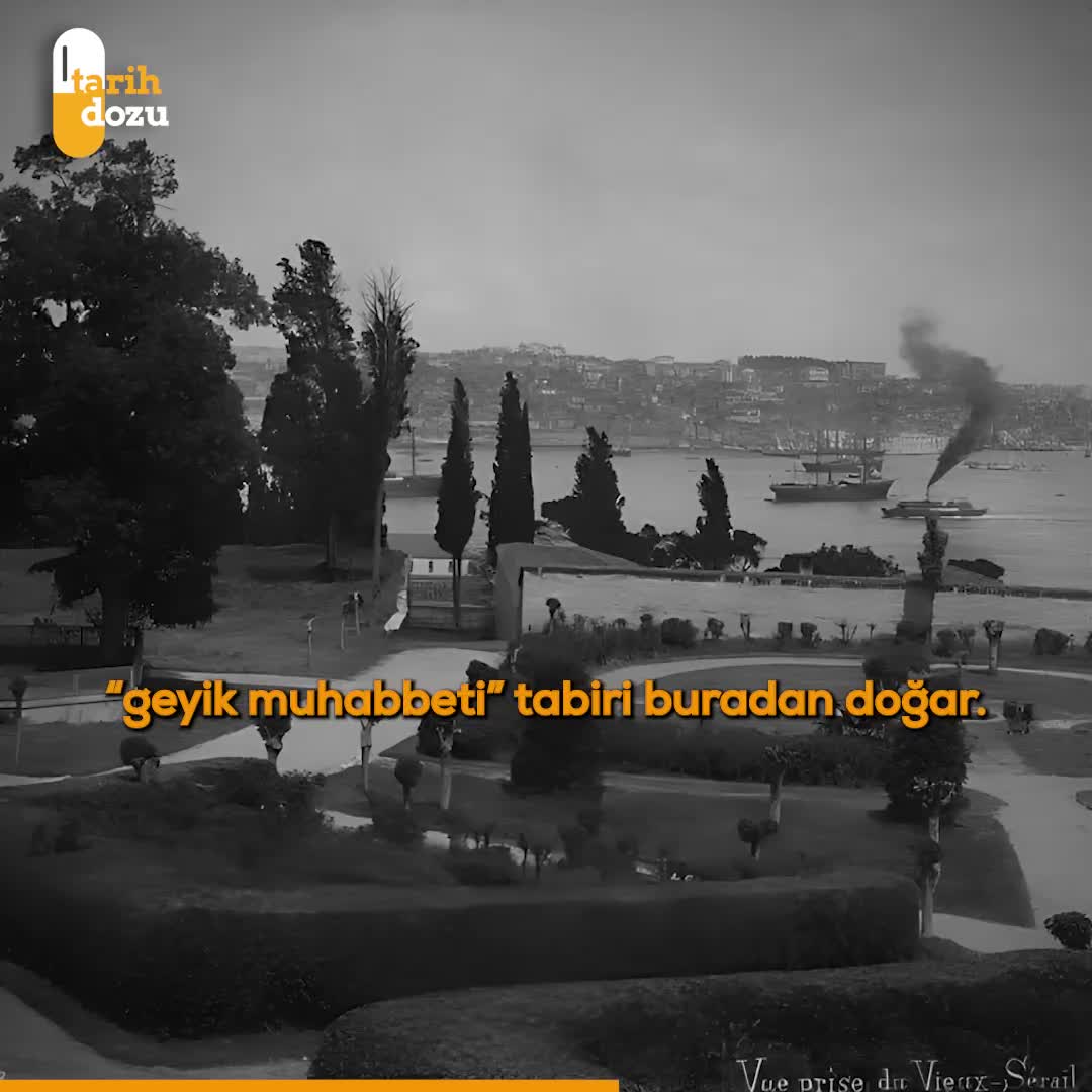 Geyik muhabbeti tabiri nereden geliyor?