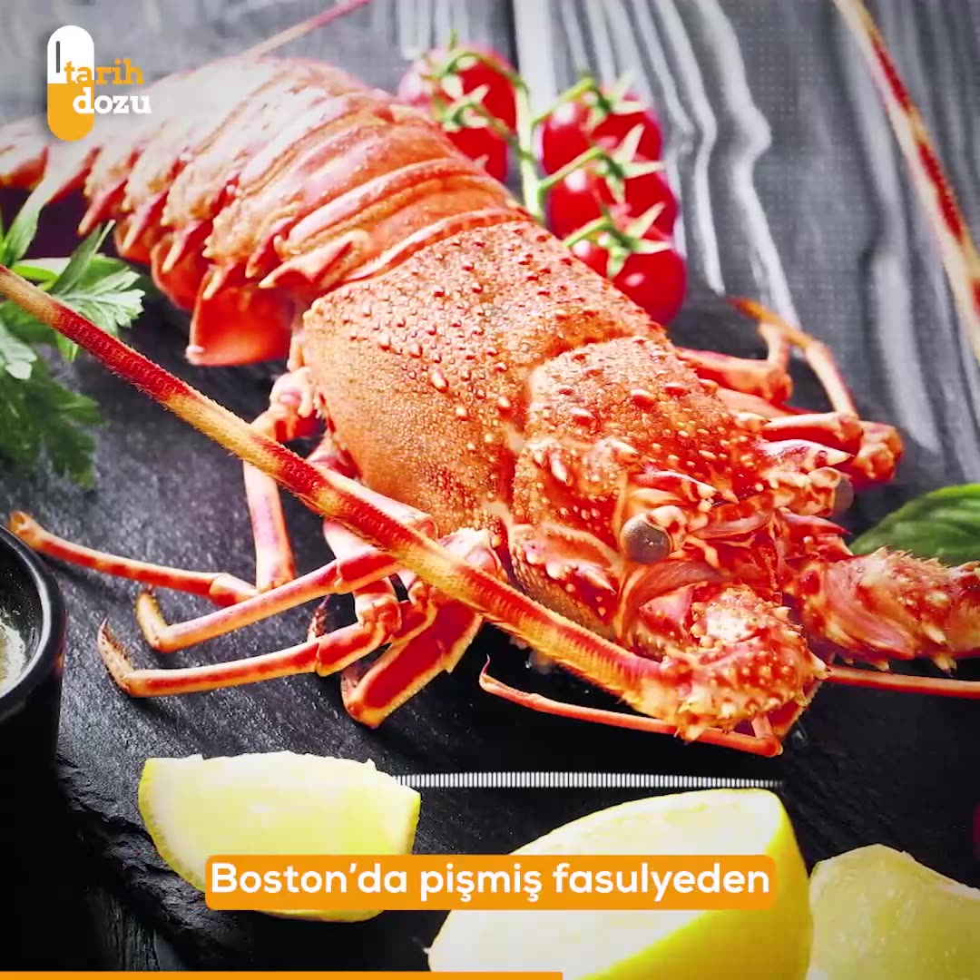 Istakozun fakirlikten zenginliğe dönüşümü nasıl gerçekleşti?