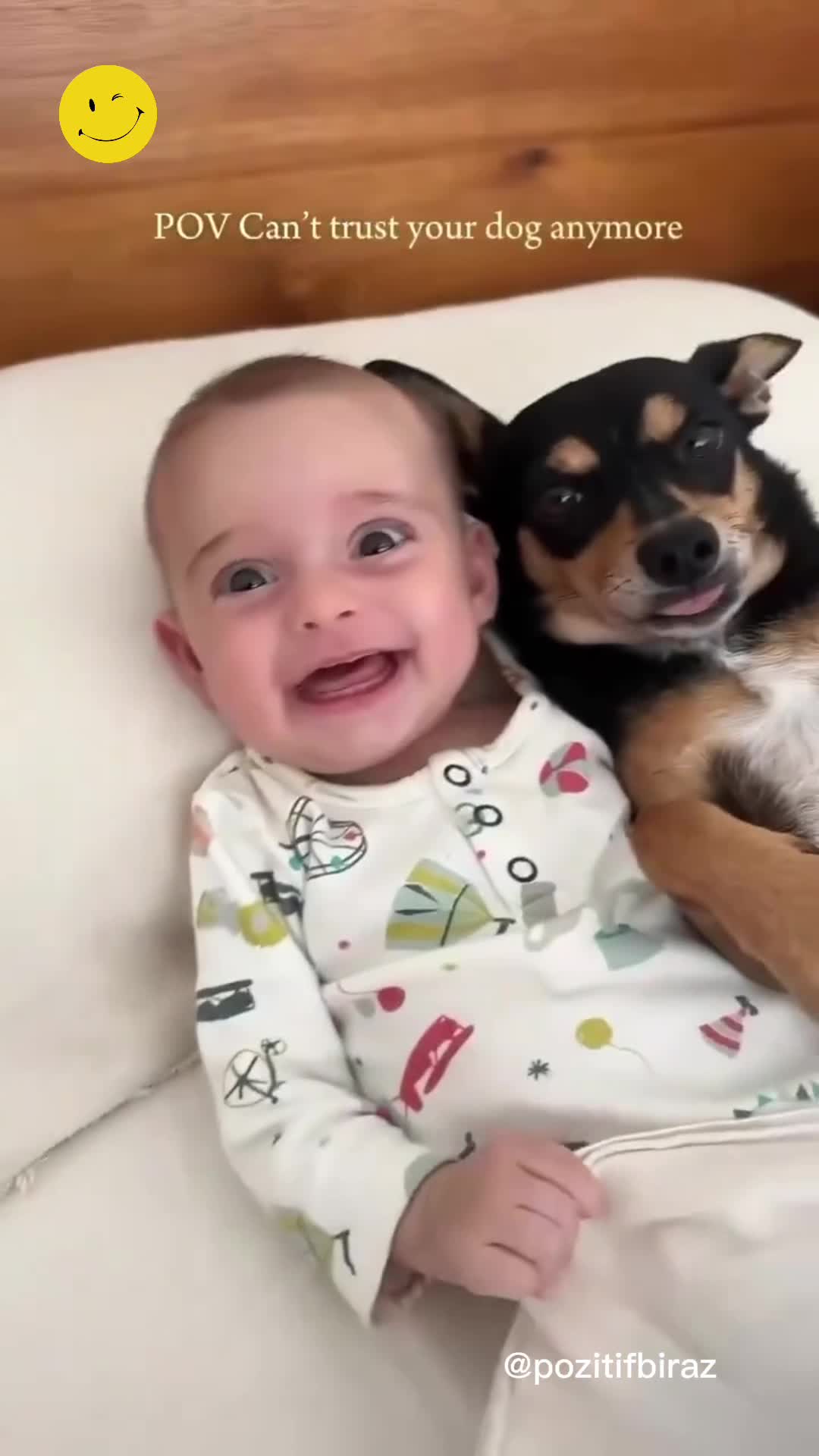 Fernanda Romero, evde köpeğini bulamayınca şok oldu