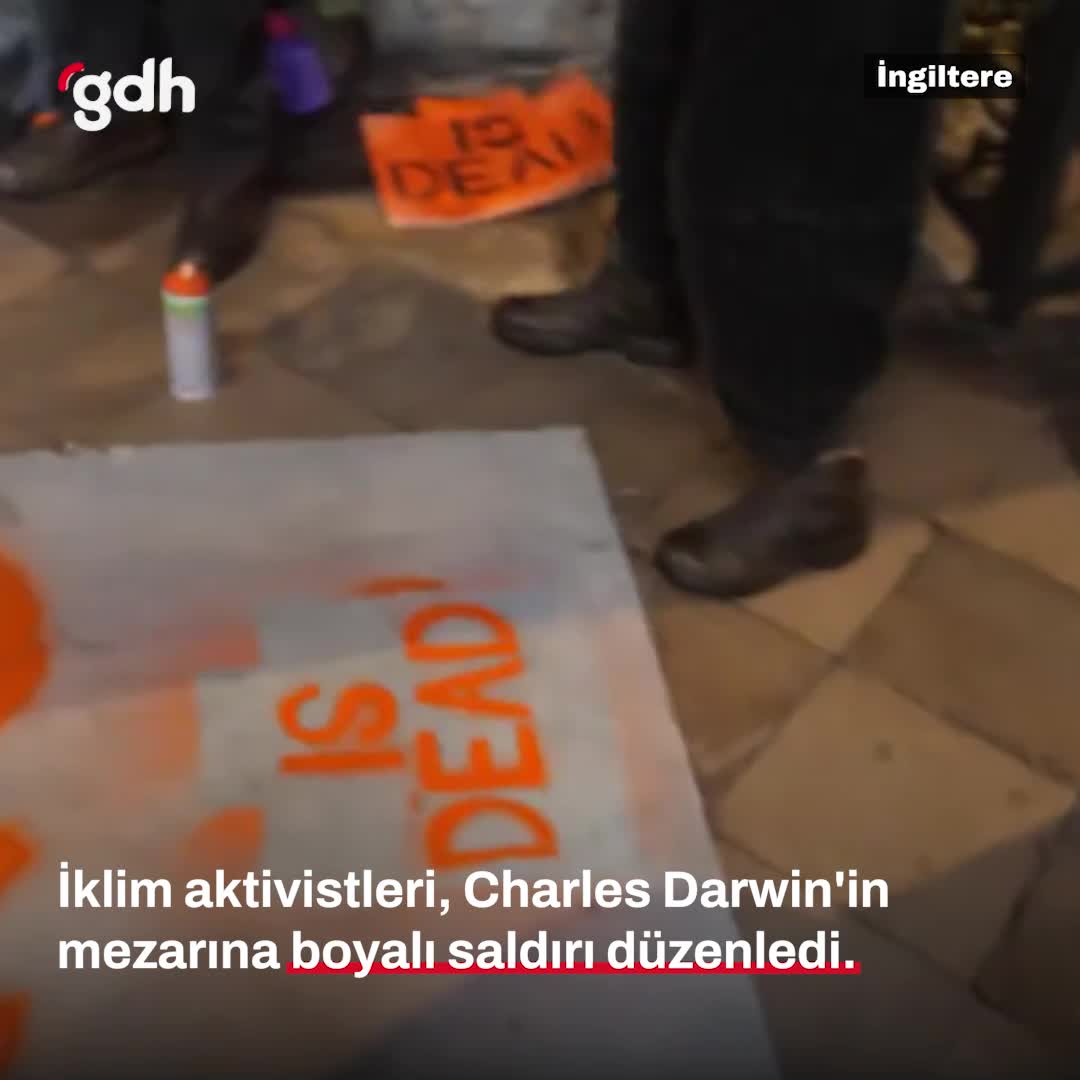 İklim aktivistleri, Darwin'in mezarına boyalı saldırı düzenledi