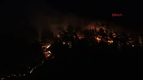 Babadağ'da yangın; hayvanlar telef oldu, kadınlar destek oldu