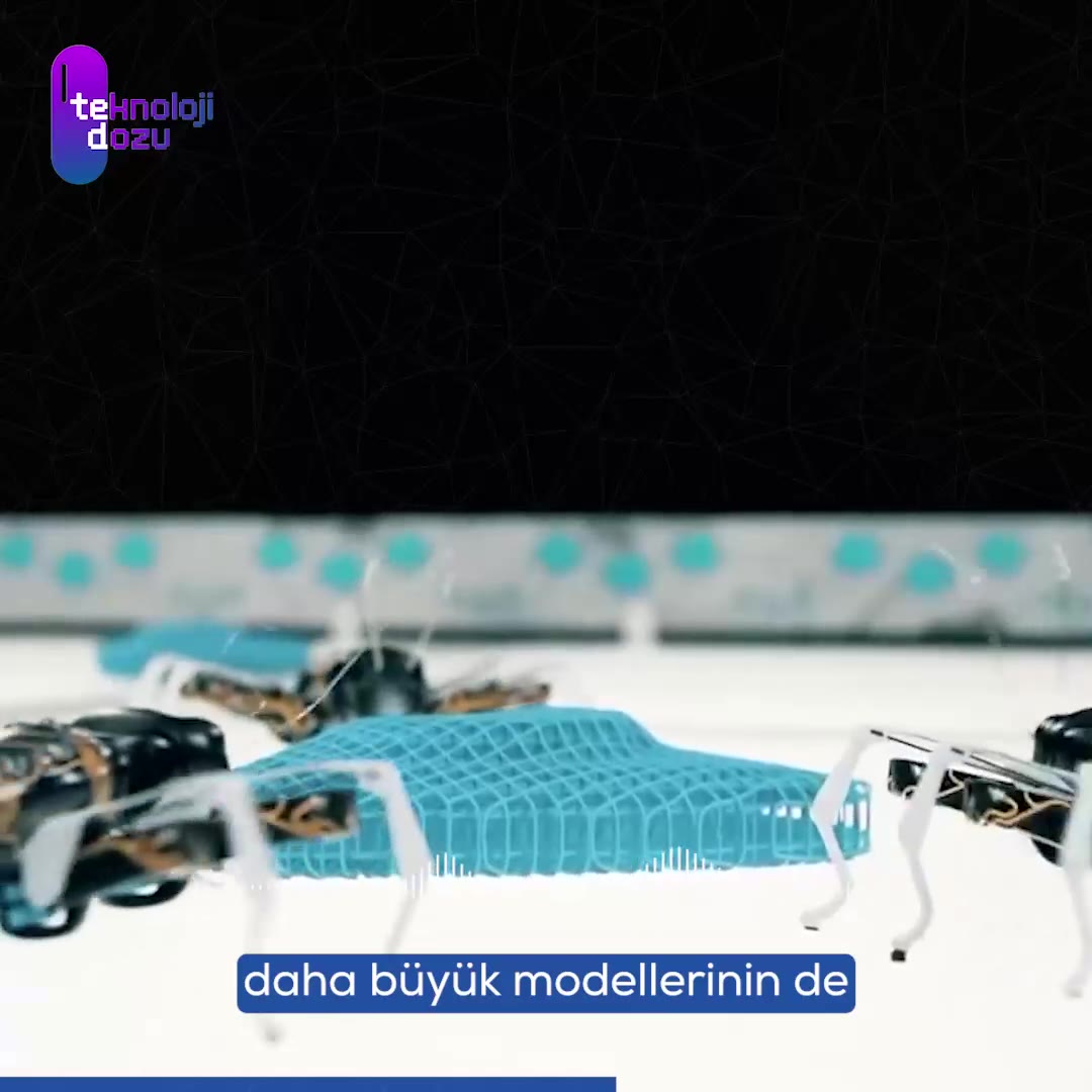 Geleceğin İş Gücü: 3D Biyonik Karıncalar ve Verimlilik