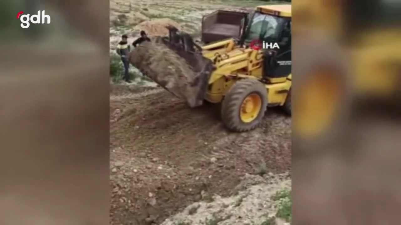 Kahramankazan'da başıboş köpekler koyun sürüsüne saldırdı
