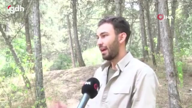 Kızılcahamam'da başıboş köpekler ayıya saldırdı