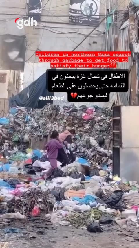 Gazze’deki Filistinli çocuklar, çöp yığınlarında yiyecek arıyor