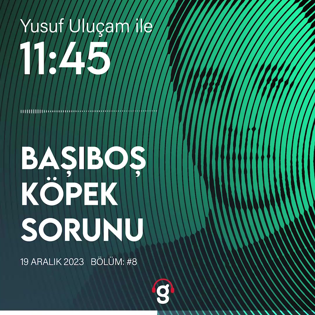 Sokak Köpeği Sorunu: Yerel Seçim Öncesi Çözüm Mümkün mü?