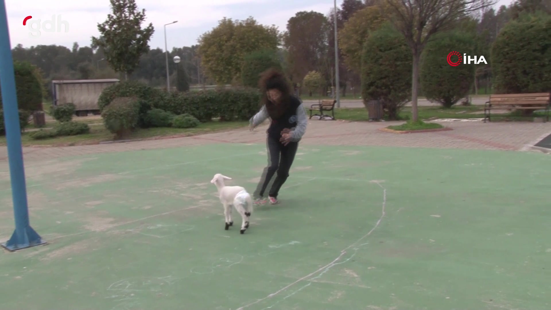 Aydın'da Beden Eğitimi Öğretmeni Melike'nin kuzusu Dobby ile spor