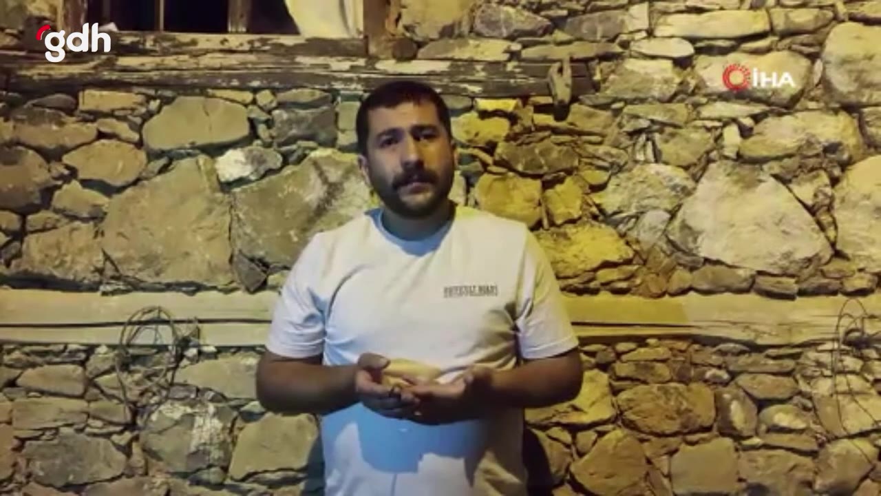 Bitlis Hizan'da endemik "kırbaç yılanı" türü bulundu