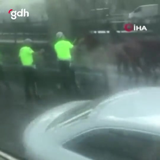İstanbul D-100'de başıboş 2 at trafiği alt üst etti