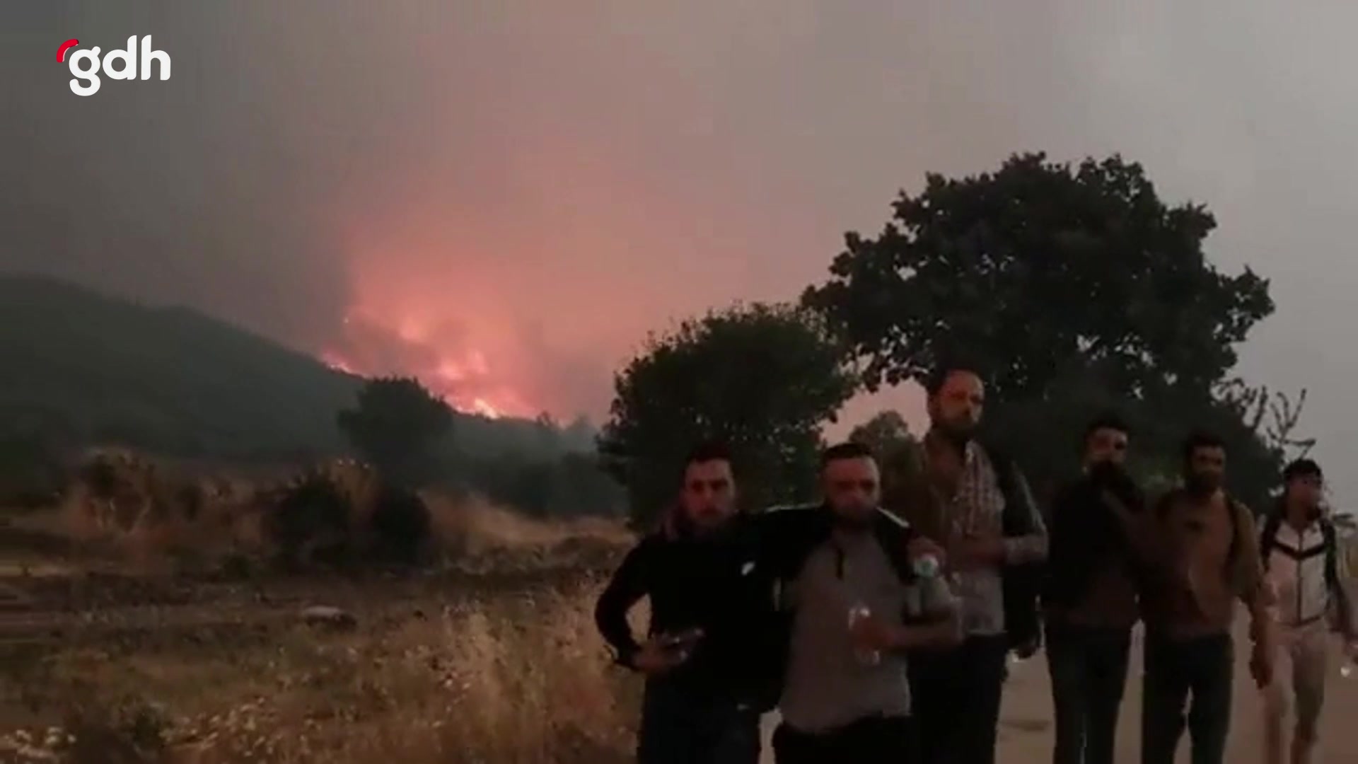 Türkiye, Yunanistan'a orman yangınları için yardım teklif etti
