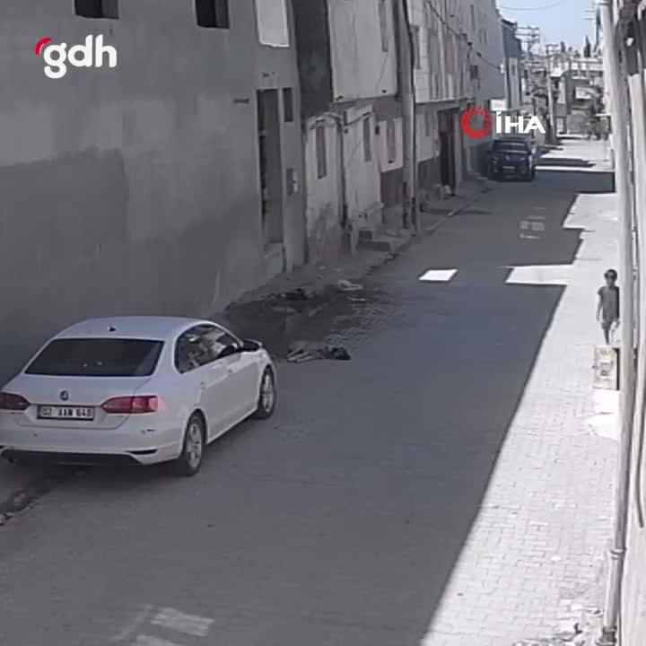 Şanlıurfa'da kadın, başıboş köpeklerden çocukları kurtardı
