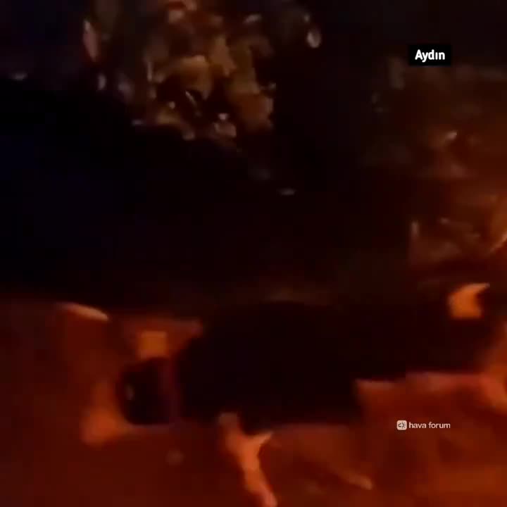 Aydın Bozdoğan'da orman yangını çıktı