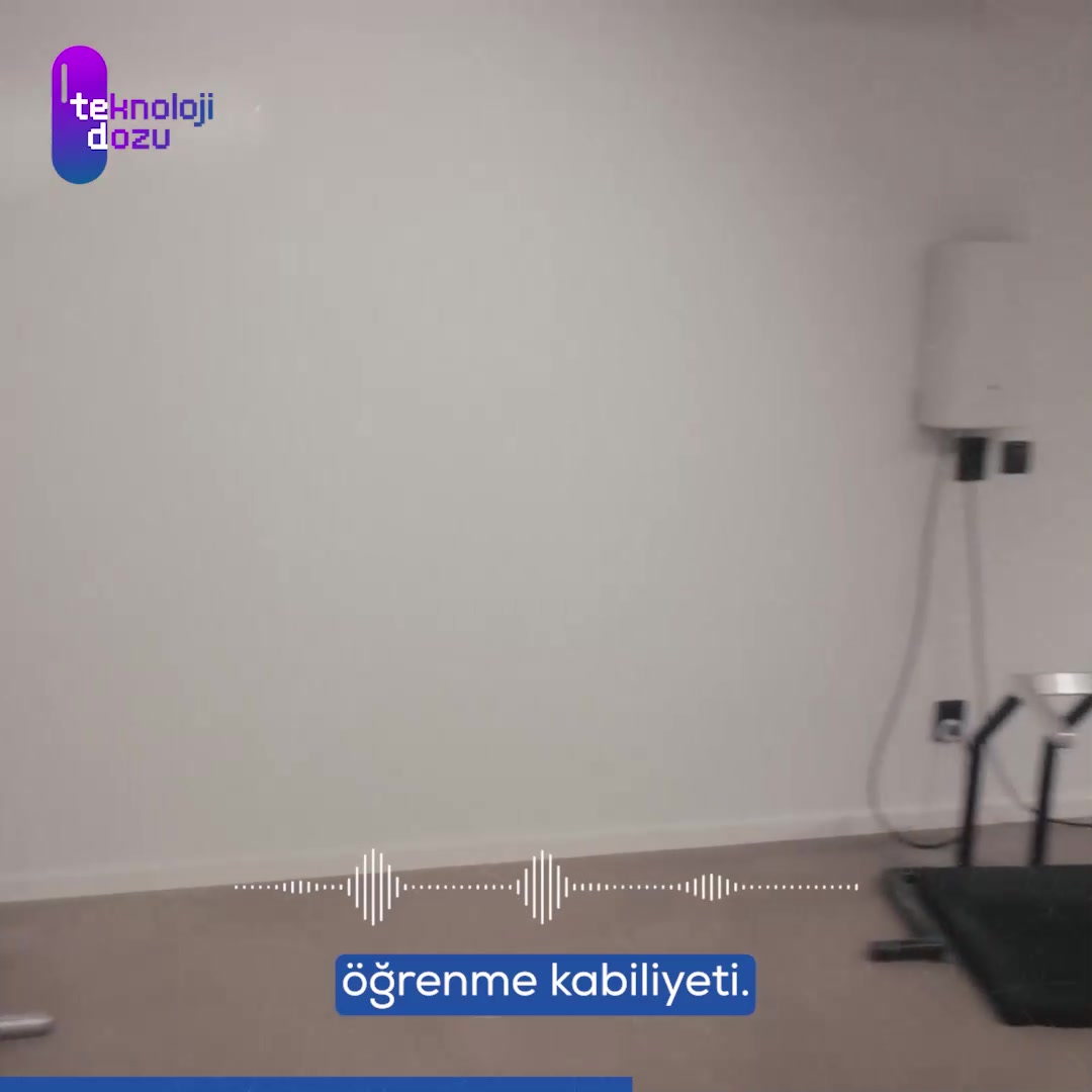 OpenAI'nın Eve'si: Yapay Zeka ile Hayatı Kolaylaştırıyor