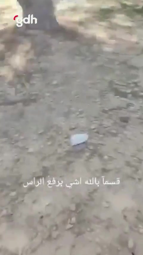İsrail karakollarından birine Filistin bayrağı çekildi