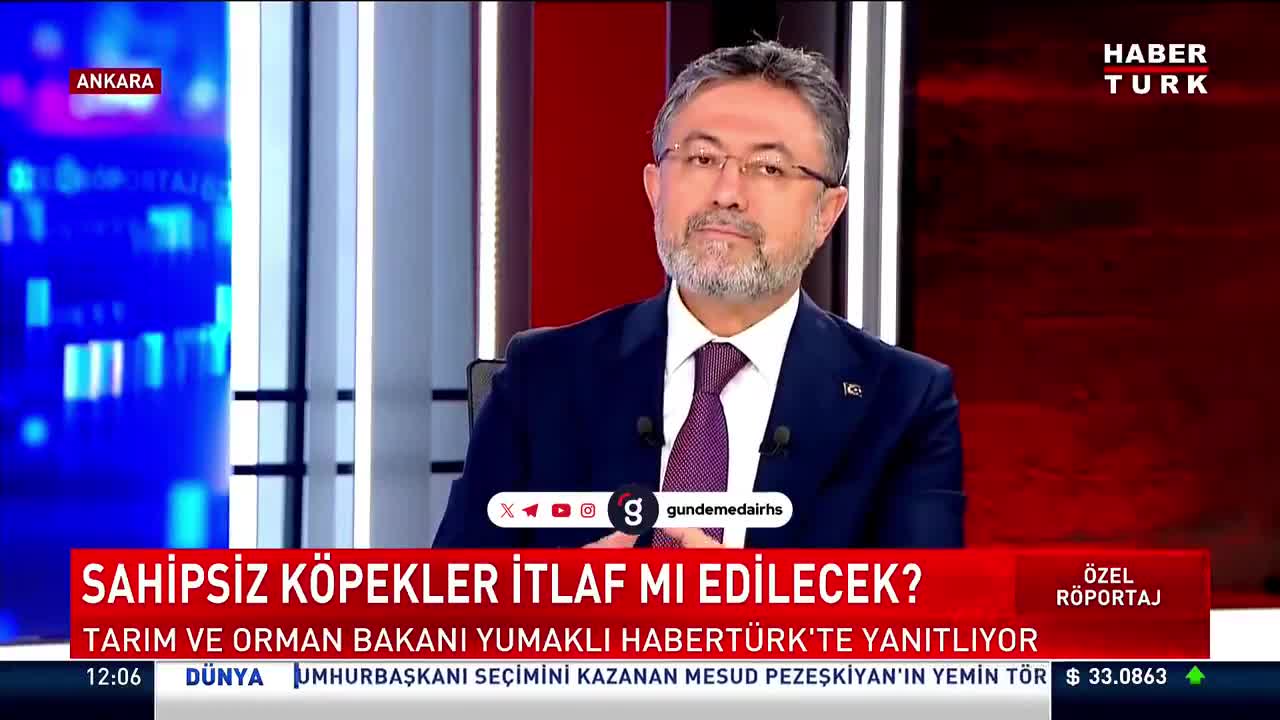 Başıboş Köpek Yasası: Sahiplendirme Üzerine Açıklama