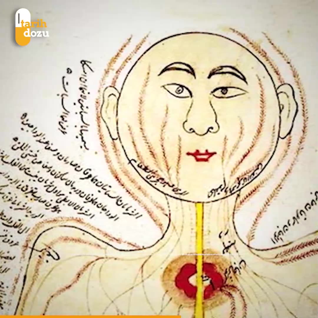 Emir Çelebi'nin 17. yüzyılda organ nakli denemeleri hikayesi