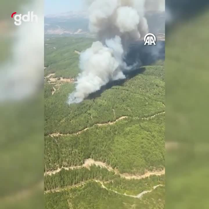 Muğla'da Menteşe ve Yatağan'da orman yangını çıktı