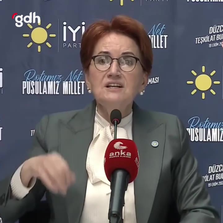 Meral Akşener: "Seçimi kazanırsam Başbakan olurdum" dedi