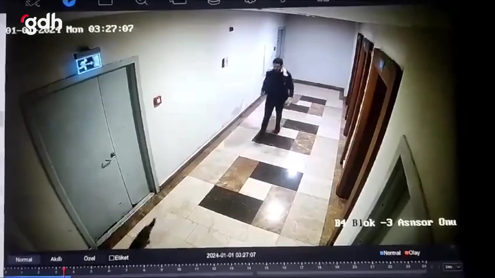 İstanbul'da kediyi ezecek şekilde tekmeleyen şahıs serbest bırakıldı