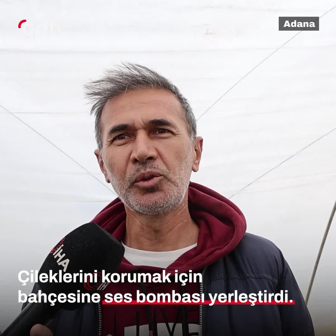 Adana'da çilek eken çiftçi, ürünlerini korumak için tel yerleştirdi