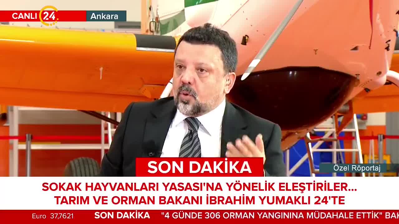 Bakan Yumaklı: Sahipsiz sokak köpekleri sorumsuzluk getiriyor