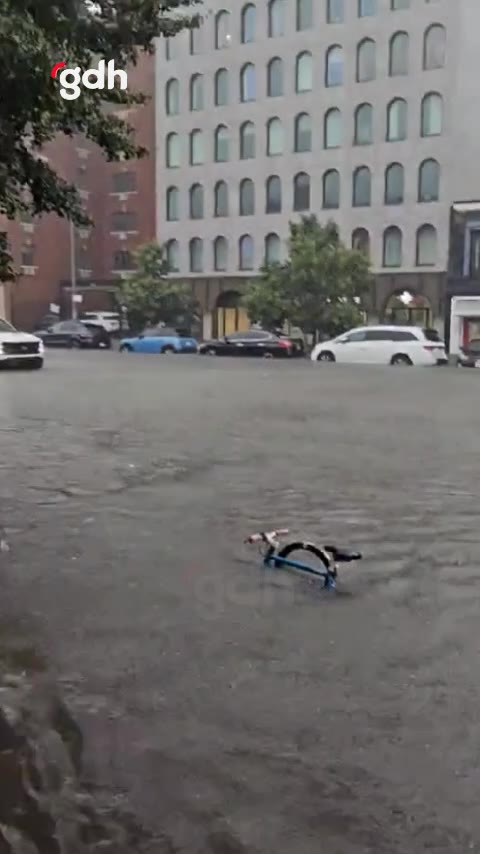 New York'ta yoğun yağışlar sonrası su baskınları ve OHAL ilanı