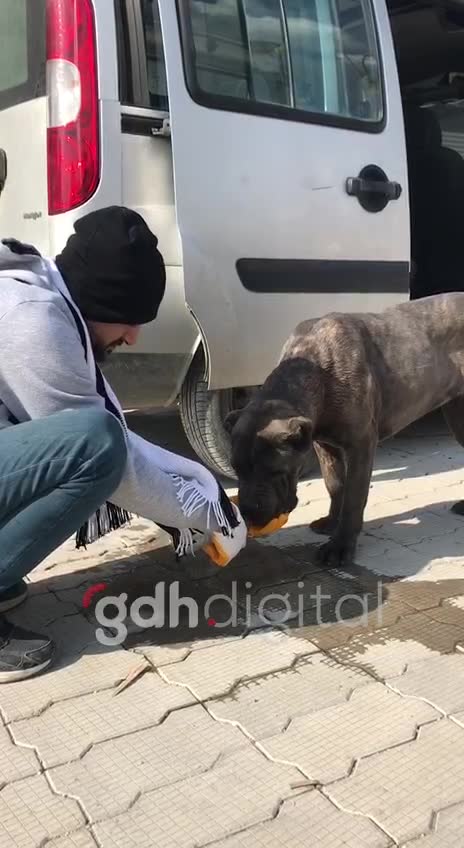 Hatay'da depremzededen can dostuna su ikramı
