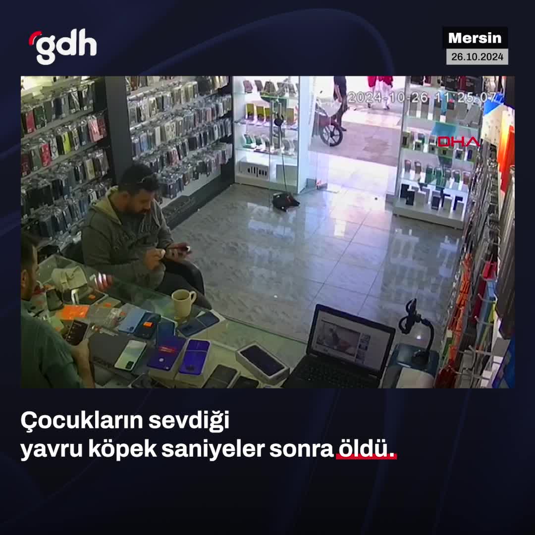 Mersin'de sevilirken ölen köpek için esnaf çocuklardan şikayetçi oldu