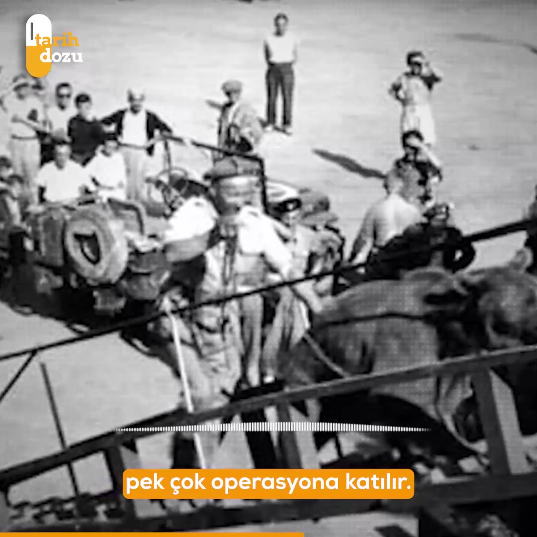Wojtek: Polonya ordusundaki ayı onbaşının hikayesi